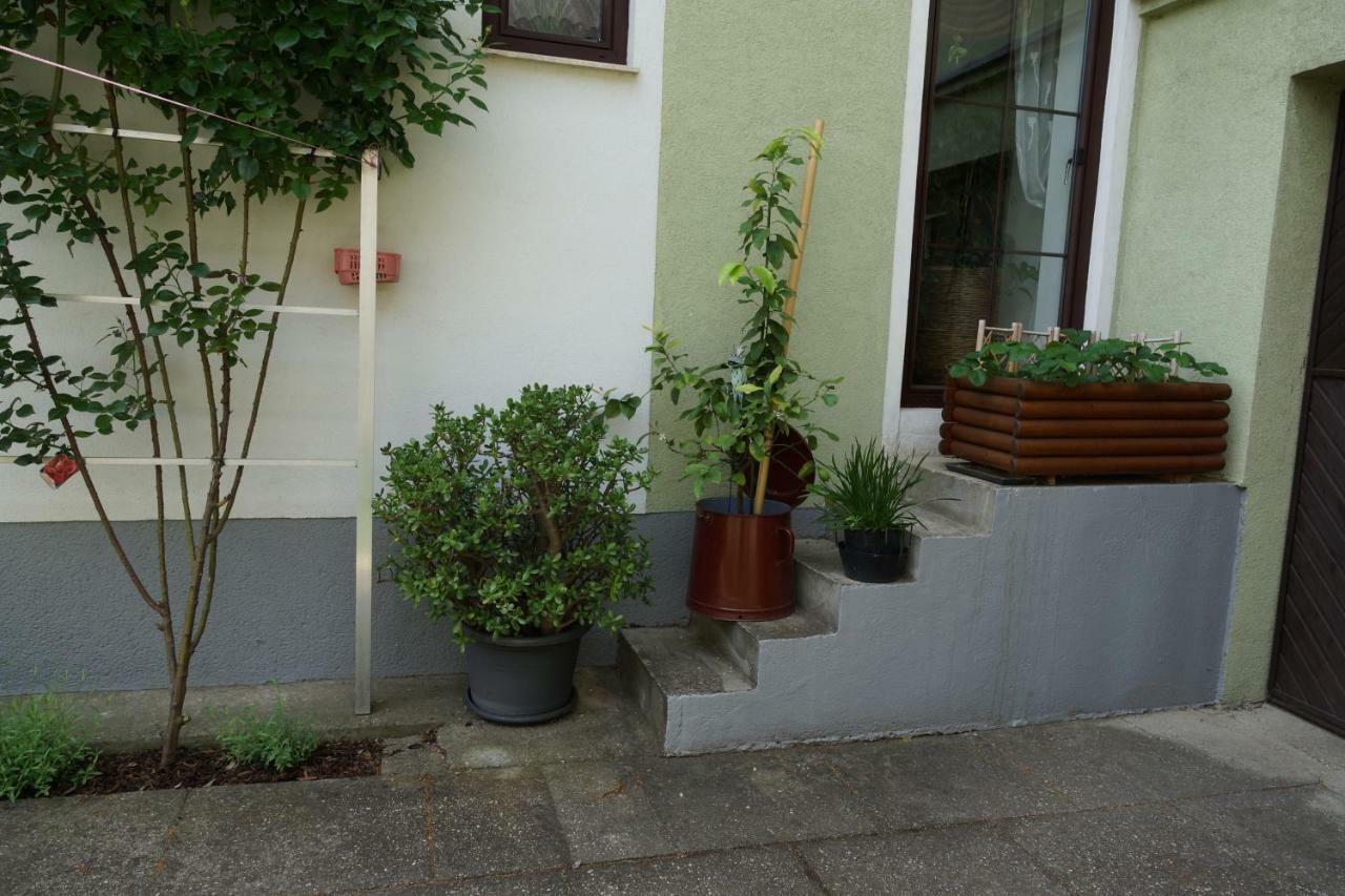 Zur Weinlaube Villa Mönchhof Buitenkant foto